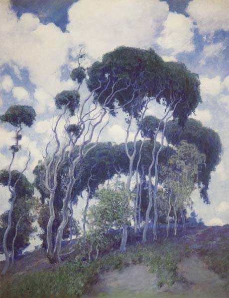 Laguna Eucalyptus